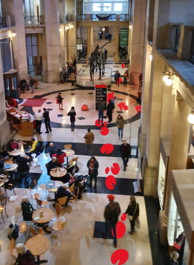 Screenshot 2019-12-11 at 21.02.36