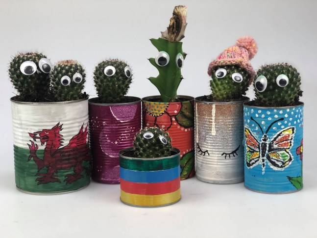 83776500_107359194159605_8773713197464027136_o