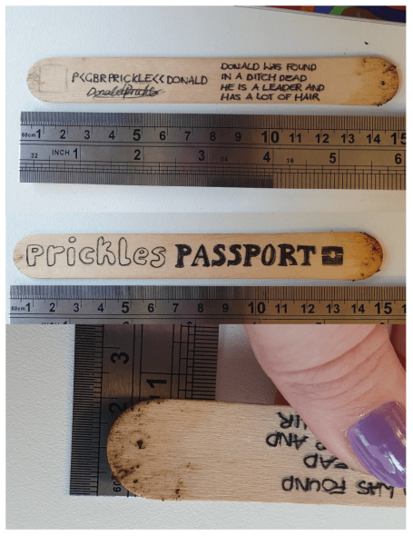 Screenshot 2020-02-06 at 21.38.44